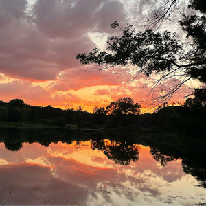 Meet your Posher, Cat